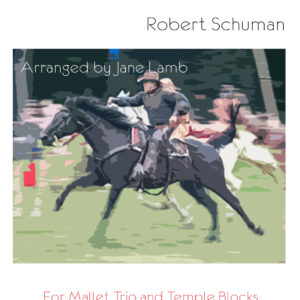 WILD HORSEMAN