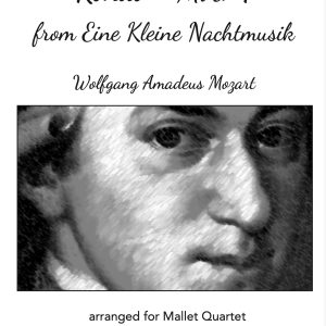 RONDO mvt. 4 from Eine Kleine Nachtmusik - Mozart